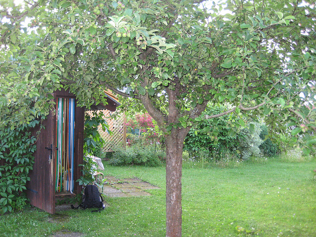 Der Apfelbaum und die Hütte