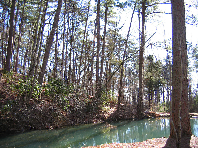 Next to The Overshot Waterwheel...