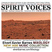 CDCover.SpiritVoices.NewAge.December2010