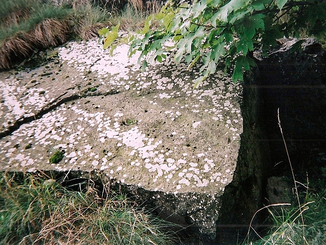 rocher -lichens crustacés type Rhizocarpon.. ( umbilicatum ?)