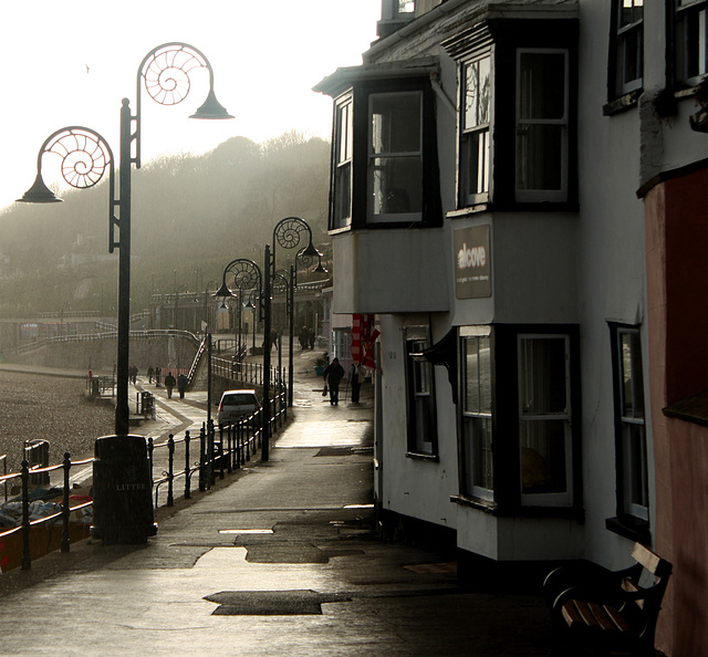 Lyme after the rain