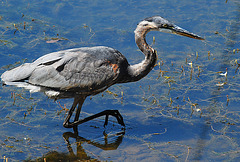 dsc_3869 dsc_3869