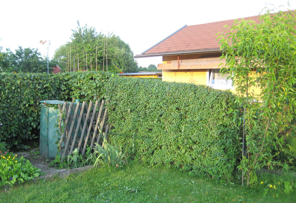 Blick zum Komposthaufen