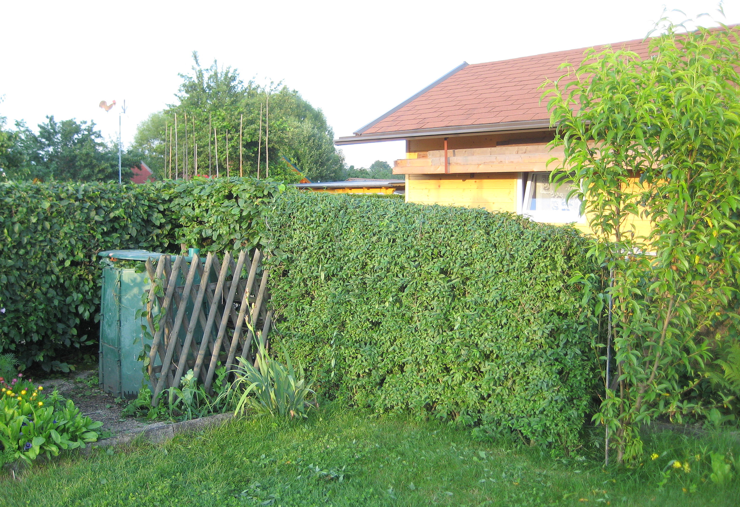Blick zum Komposthaufen