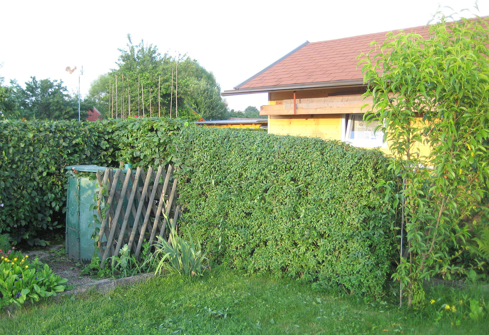 Blick zum Komposthaufen