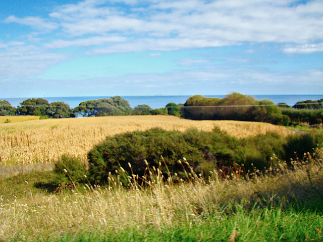 Near Cape Runaway