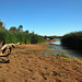 Muloorina desert waterhole