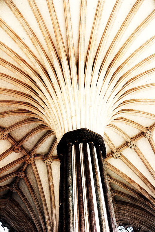 wells 1286 chapter house vault