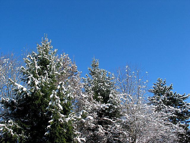 endlich mal wieder Sonne und blauer Himmel