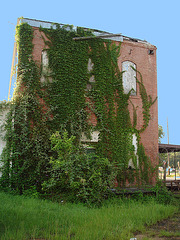 Façade botanique / Botanical façade - Jewett, Texas. USA / 6 juillet 2010 -  Avec ciel bleu photofiltré