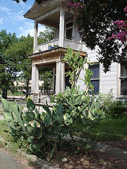 The house of hope / La maison de l'espoir - San Antonio, Texas. USA - 29 juin 2010- With no electric wires / Sans fil électrique