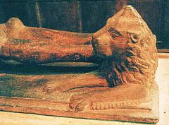 sparsholt lion