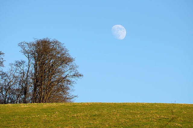 Nachmittagsmond