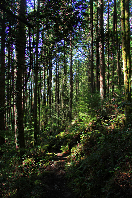 Boulder Garden Trail