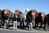 101.RinglingBros.Circus.Parade.WDC.16March2010