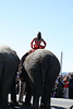 110.RinglingBros.Circus.Parade.WDC.16March2010