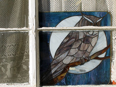 The owls are not what they seem
