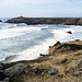 Côte Sauvage de Quiberon