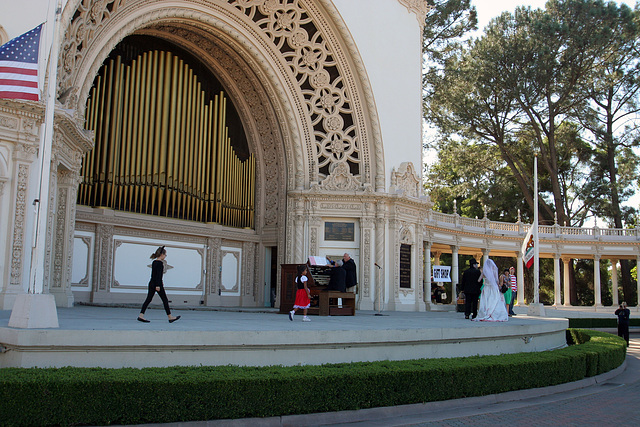 Spreckels Organ (8159)