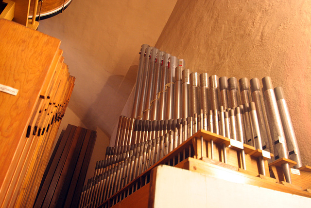 Spreckels Organ (8185)