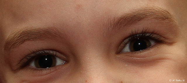 yeux de Florence