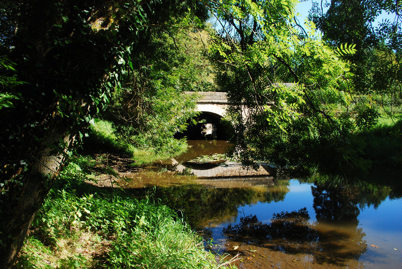Petit pont sur la Conie