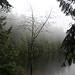 Fragrance Lake