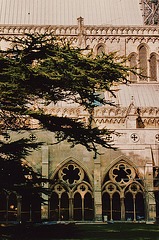 salisbury cloister garth  1265