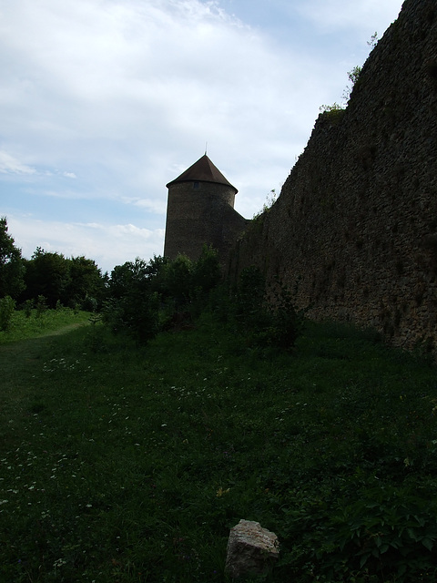 Larzac 219