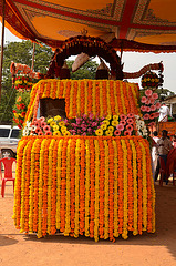 Wedding Truck-marigold draped