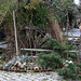 20110301 0070RAw [TR] Gartenparadies