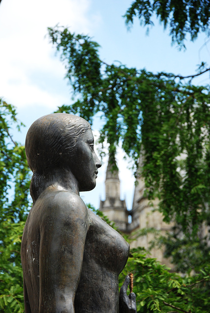 Sur fond de Cathédrale