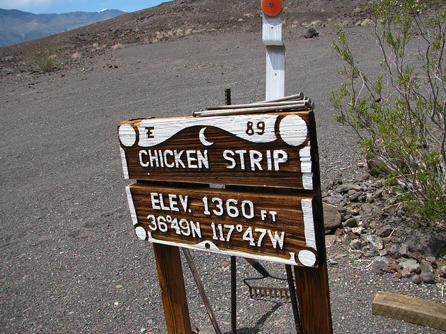 Chicken Strip (2305)