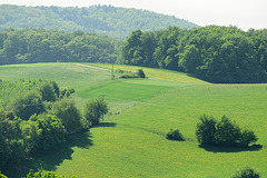 Grüne Hügel