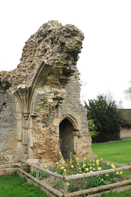 Glastonbury Abbey