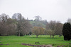 Glastonbury Tor