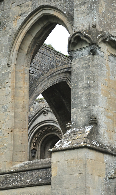 Glastonbury Abbey