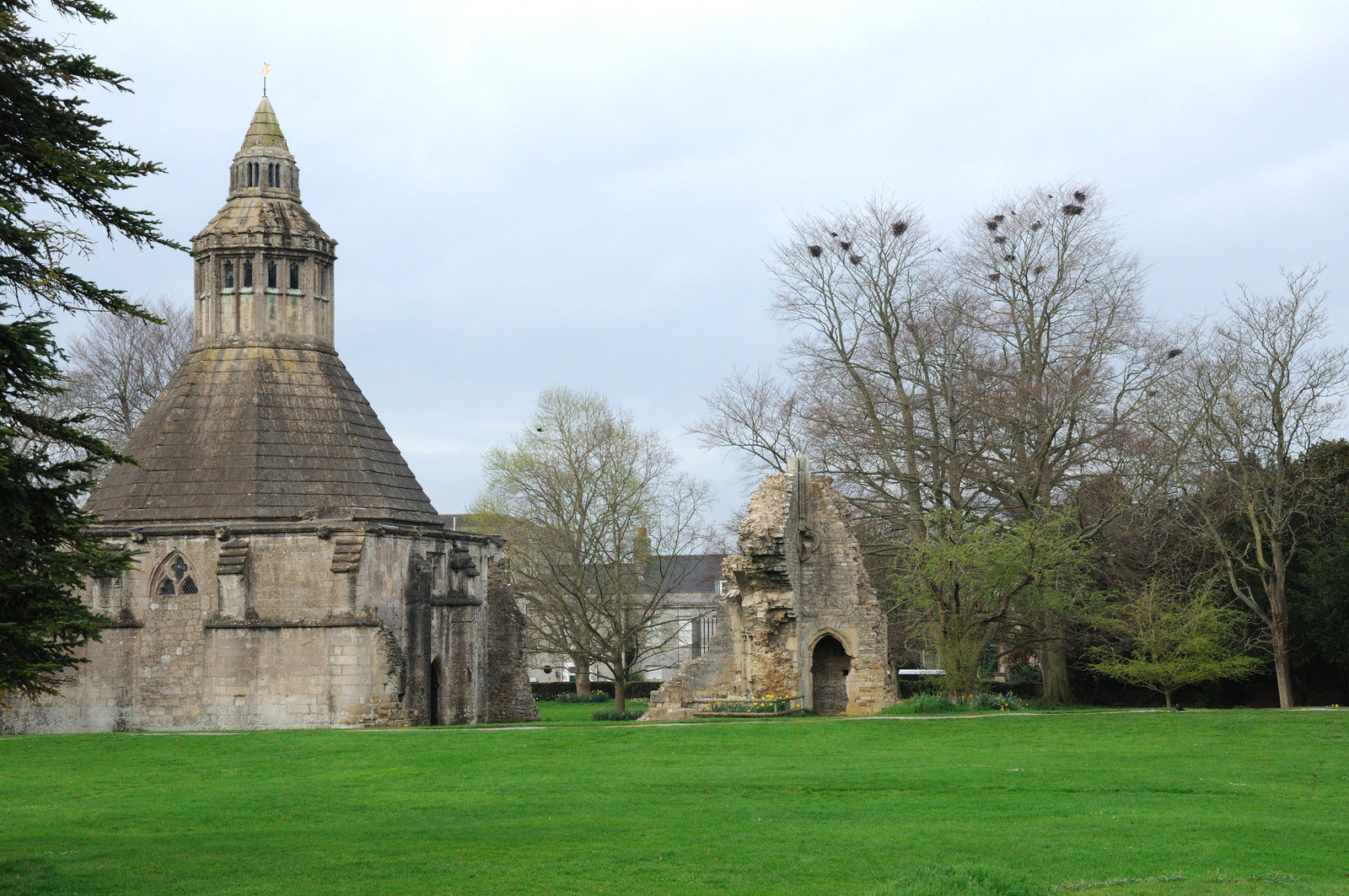 Glastonbury Abbey