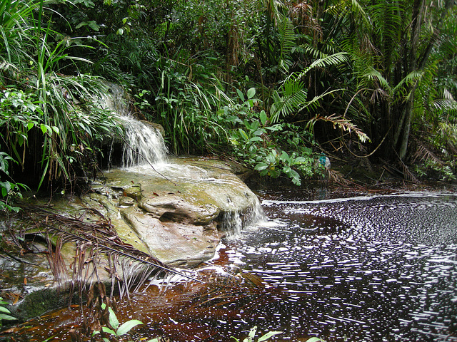 Wasser von oben und von unten