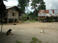 Dorfplatz der Orang Asli