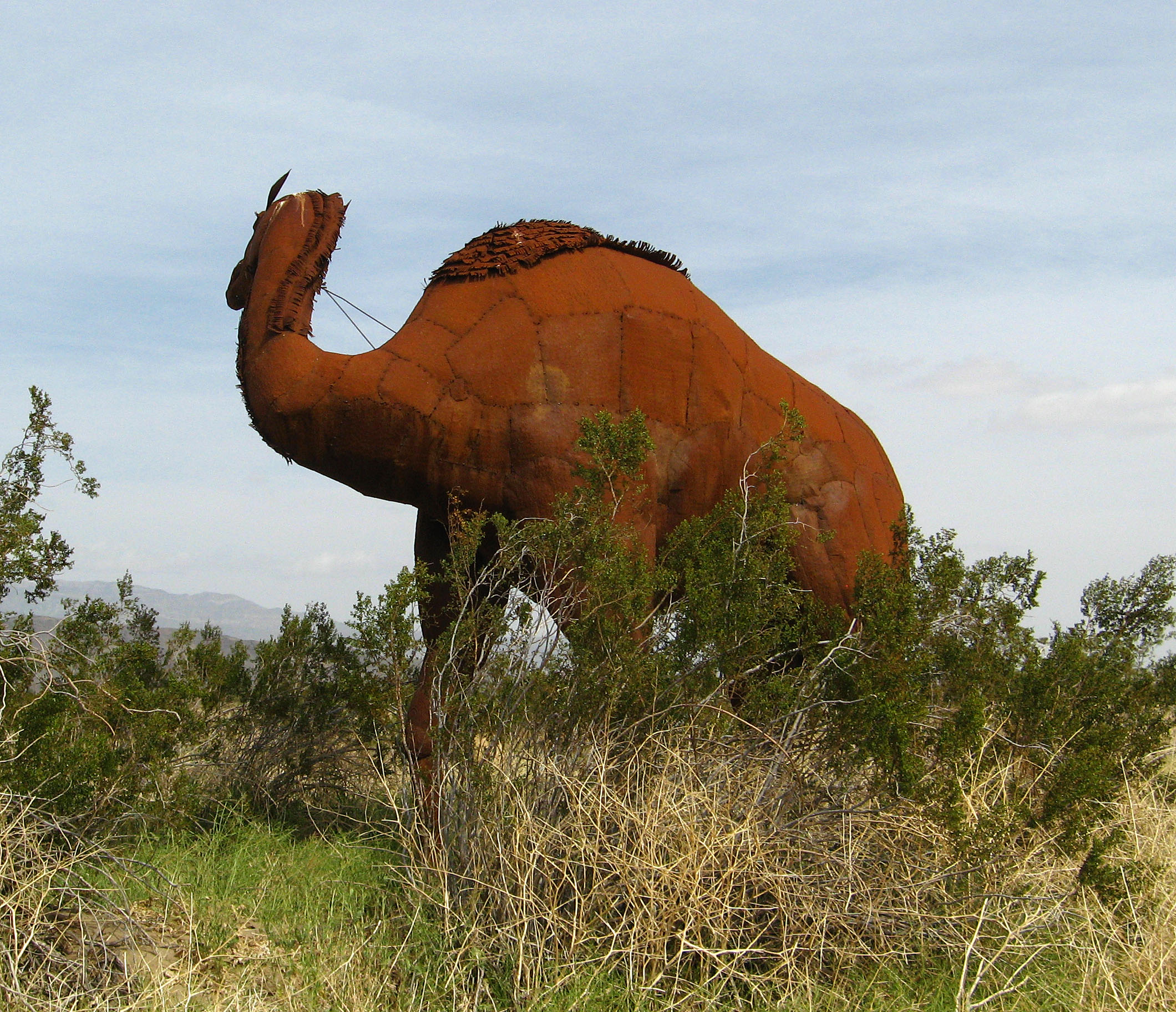 Galleta Meadows Estate - Camel (1675)