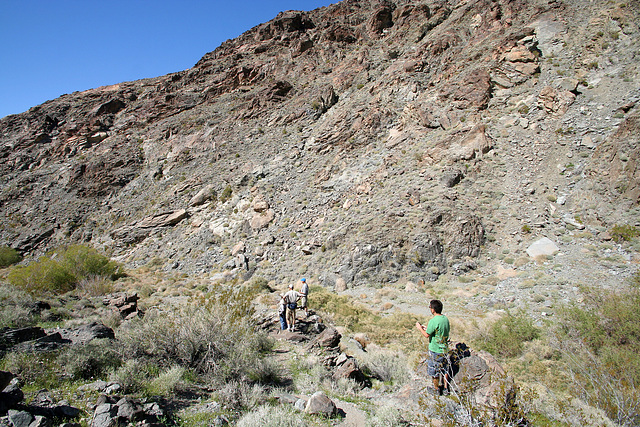 Death Valley National Park - Greenwater Valley (9505)