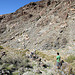 Death Valley National Park - Greenwater Valley (9505)