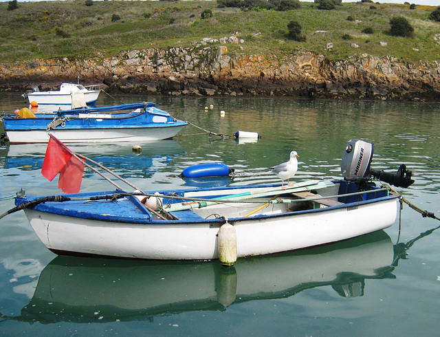 Seul à bord !