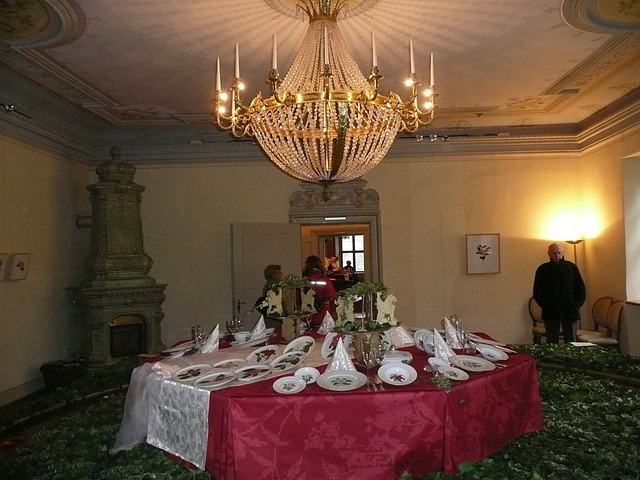 März 2011 Kamelienblüten - Ausstellung im Barockschloß Zuschendorf