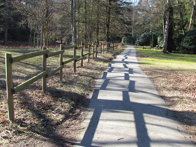 Shadow Fence