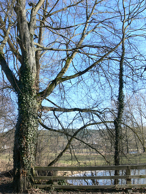 das Regental bei Schloss Spindlhof