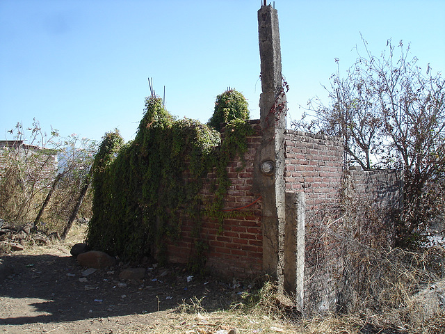 Los Reyes, Michoacán / Mexique - 27 mars 2011