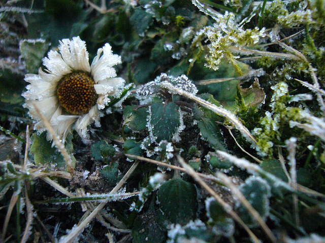 Februar-Überraschung