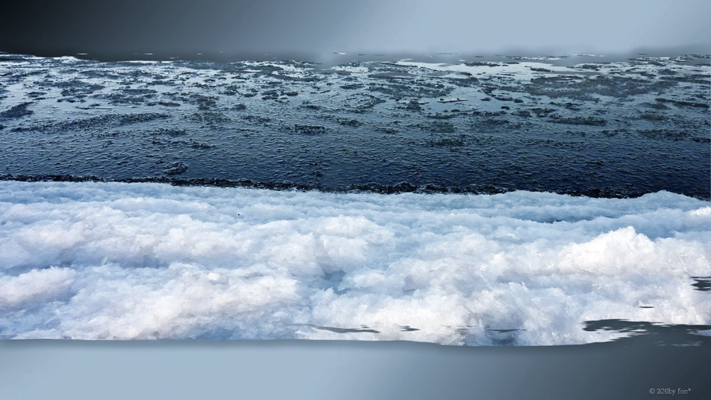 winter colors on the beach